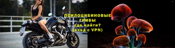 шишки Алексин