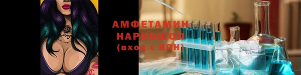 шишки Алексин