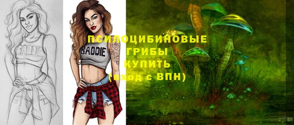 шишки Алексин