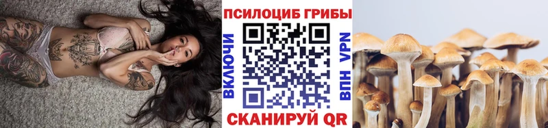 Галлюциногенные грибы Psilocybe  Навашино 